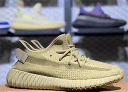 Yeezy Boost 350 V2